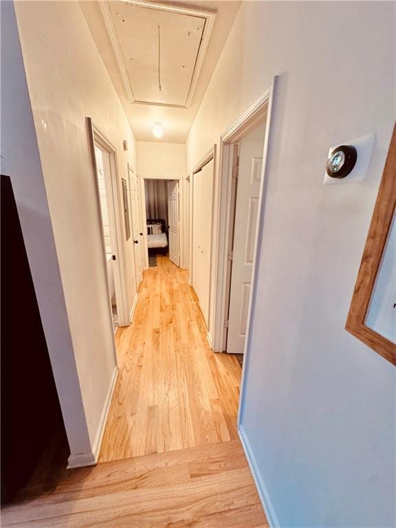 hall featuring light hardwood / wood-style flooring