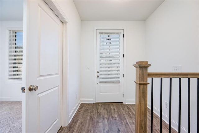 entryway featuring hardwood / wood-style flooring