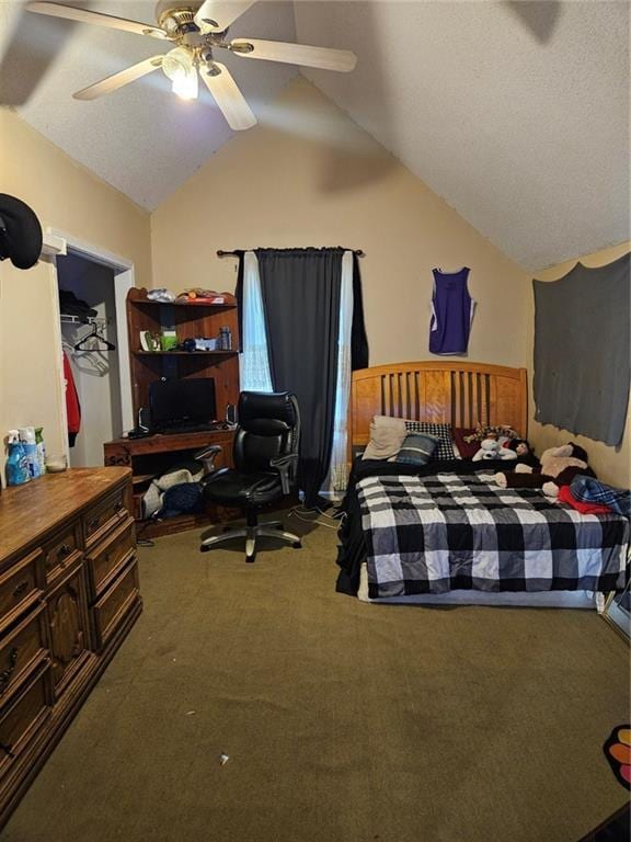 7073 Stonecreek Dr, Douglasville, GA 30134 - carpeted bedroom featuring lofted ceiling, a spacious closet, ceiling fan, a closet, and a desk