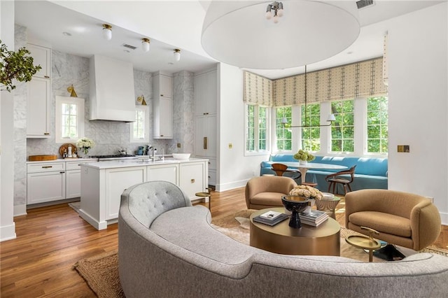 interior space with light hardwood / wood-style flooring, sink, and a wealth of natural light