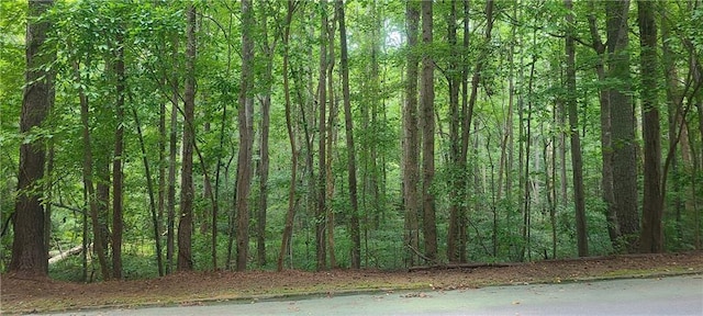 0 Ann Arbor Dr, College Park GA, 30349 land for sale