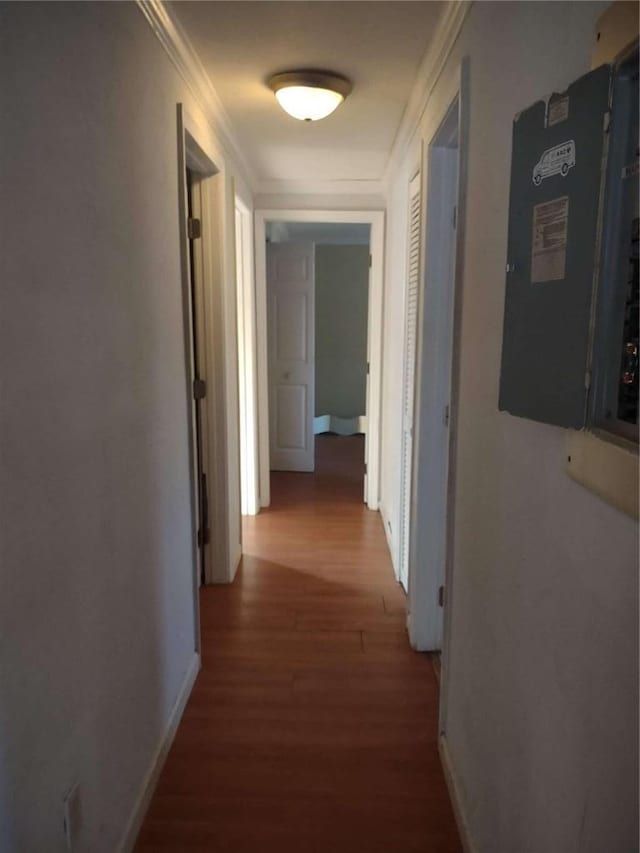 corridor featuring electric panel, hardwood / wood-style floors, and ornamental molding