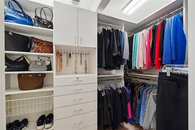 view of spacious closet