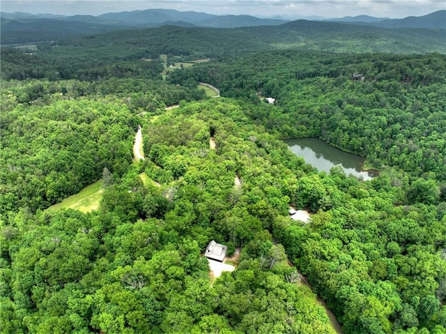 100 Black Oaks Rd, Cherry Log, GA 30522 - aerial view of property's location with a forest and a water and mountain view