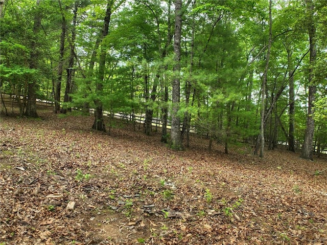 100 Black Oaks Rd, Cherry Log, GA 30522 - view of woods