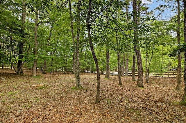 100 Black Oaks Rd, Cherry Log, GA 30522 - view of nature
