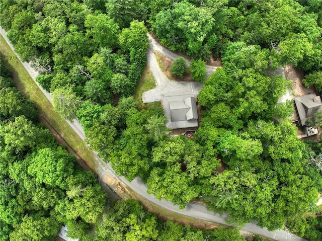 100 Black Oaks Rd, Cherry Log, GA 30522 - aerial view of property and surrounding area