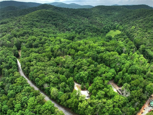 100 Black Oaks Rd, Cherry Log, GA 30522 - view of property location with a forest and a mountainous background