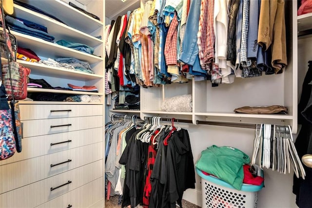 6628 Rivergreen Rd, Flowery Branch, GA 30542 - view of walk in closet