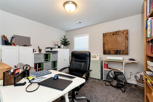 6628 Rivergreen Rd, Flowery Branch, GA 30542 - office with carpet