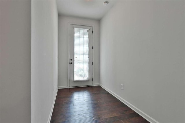 entryway with a wealth of natural light and dark hardwood / wood-style floors