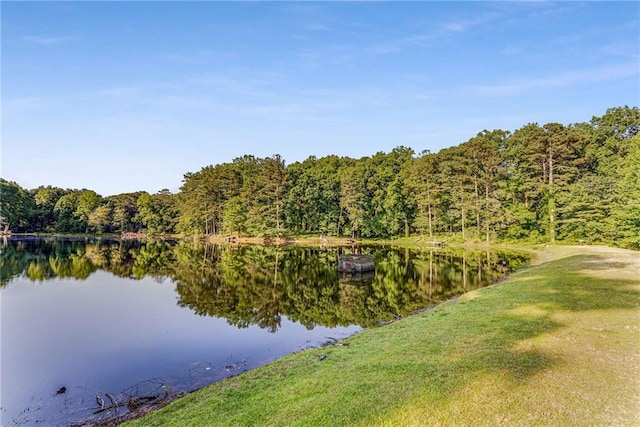 view of water feature with a view of trees