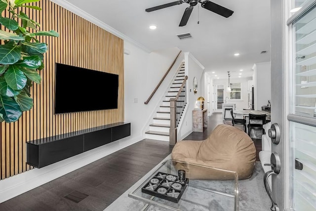 living room featuring ceiling fan, dark hardwood / wood-style floors, and crown molding