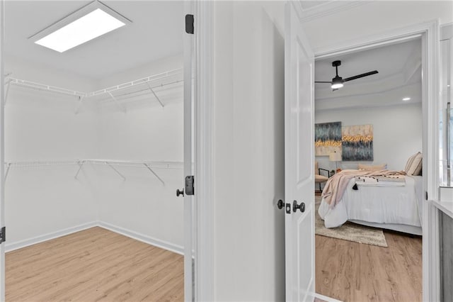 spacious closet featuring ceiling fan and wood finished floors
