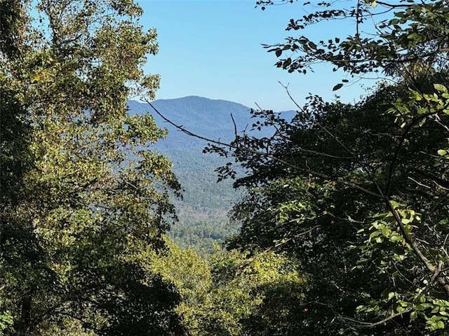 property view of mountains