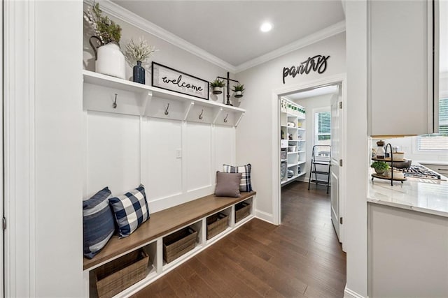 107 Equest Dr, Canton, GA 30115 - mudroom featuring ornamental molding, dark wood-style flooring, and recessed lighting