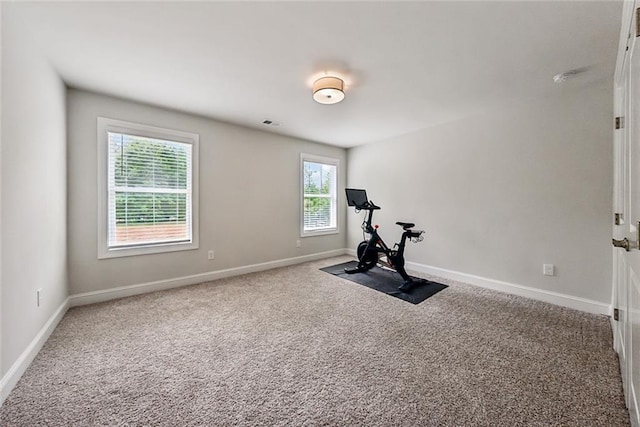 107 Equest Dr, Canton, GA 30115 - exercise area featuring carpet flooring and baseboards