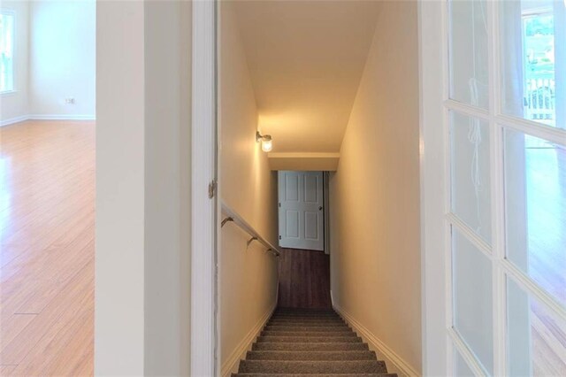 851 Roget Ct, Lawrenceville, GA 30045 - stairway featuring wood finished floors