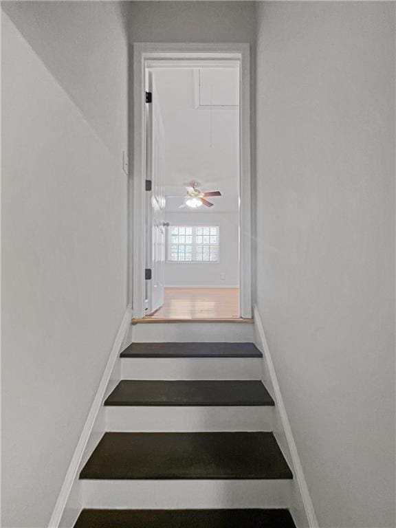31 Mariner Way SE, Acworth, GA 30102 - stairs featuring attic access and baseboards