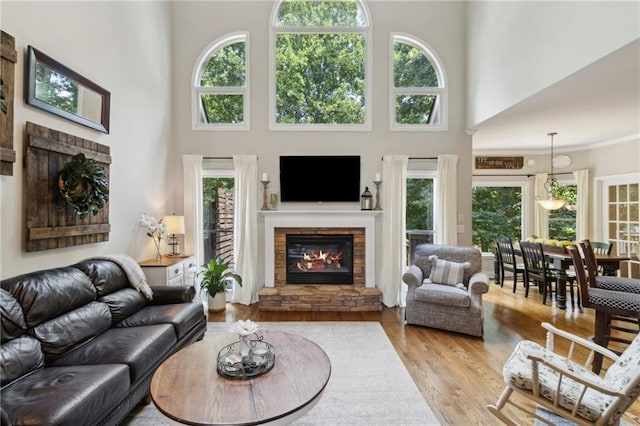 2713 Misty Rock Cv, Dacula, GA 30019 - living area with a fireplace, a high ceiling, wood finished floors, and healthy amount of natural light