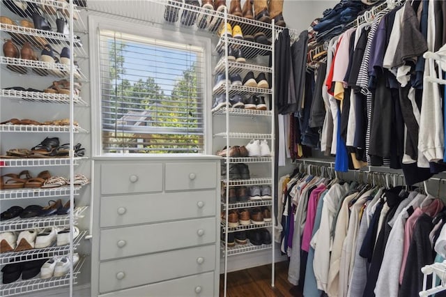 2713 Misty Rock Cv, Dacula, GA 30019 - walk in closet with wood finished floors