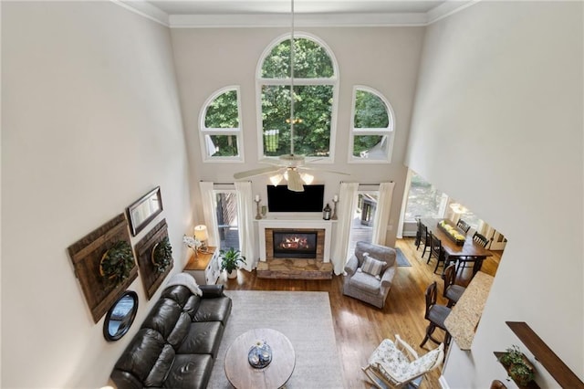 2713 Misty Rock Cv, Dacula, GA 30019 - living room featuring wood finished floors, a glass covered fireplace, a high ceiling, ceiling fan, and ornamental molding