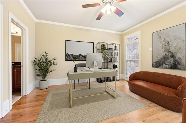 office with hardwood / wood-style floors, ceiling fan, and ornamental molding