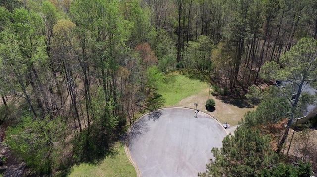 4225 Penion Pt, Cumming, GA 30028