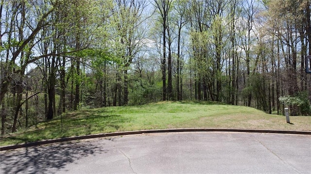 4225 Penion Pt, Cumming, GA 30028