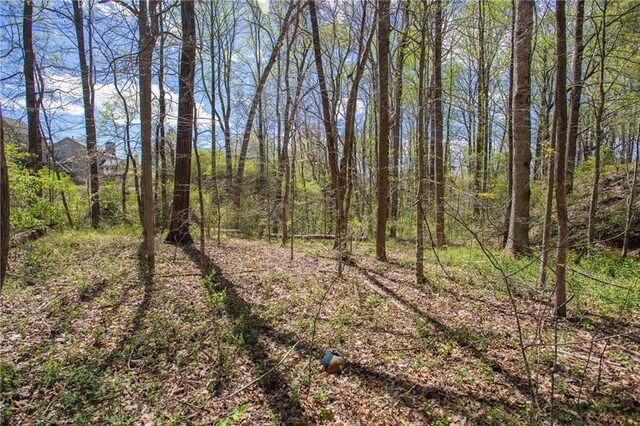 4225 Penion Pt, Cumming, GA 30028