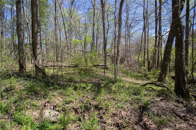 4225 Penion Pt, Cumming, GA 30028