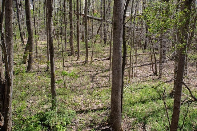 4225 Penion Pt, Cumming, GA 30028