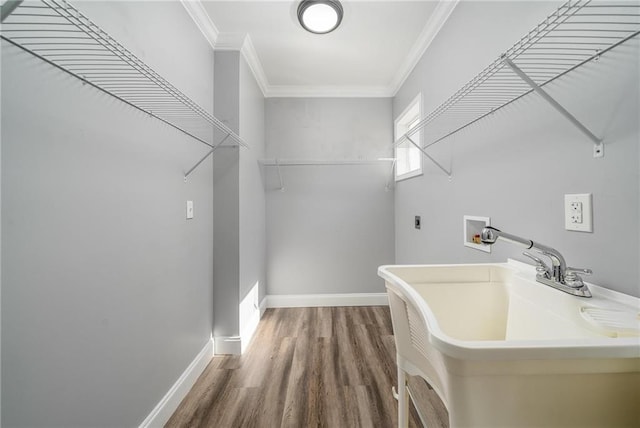 washroom with hookup for a washing machine, electric dryer hookup, ornamental molding, and dark hardwood / wood-style flooring