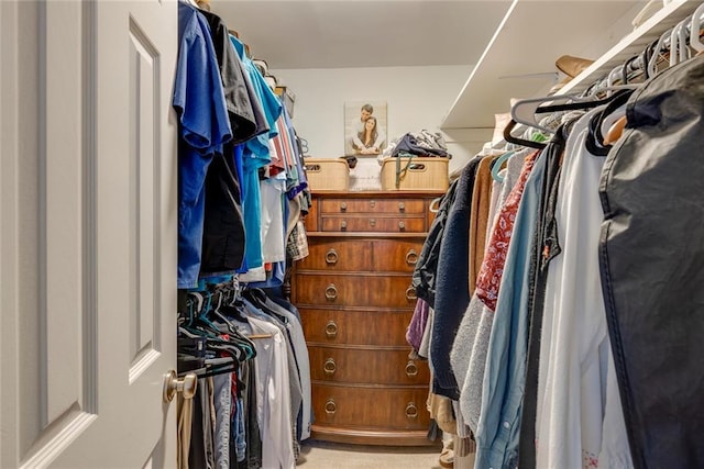 view of walk in closet