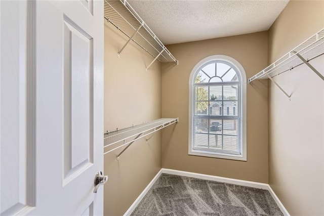 walk in closet featuring carpet