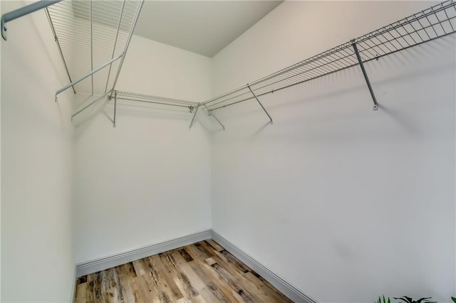 walk in closet with light wood-style floors