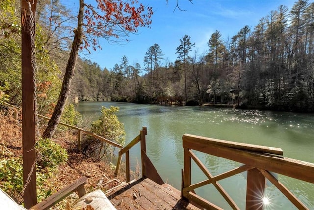 dock area with a water view