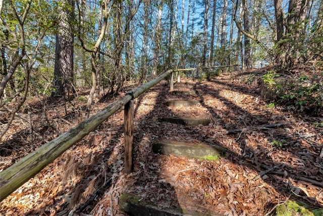 view of local wilderness