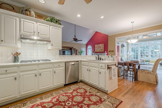 kitchen featuring stainless steel appliances, light countertops, plenty of natural light, and under cabinet range hood