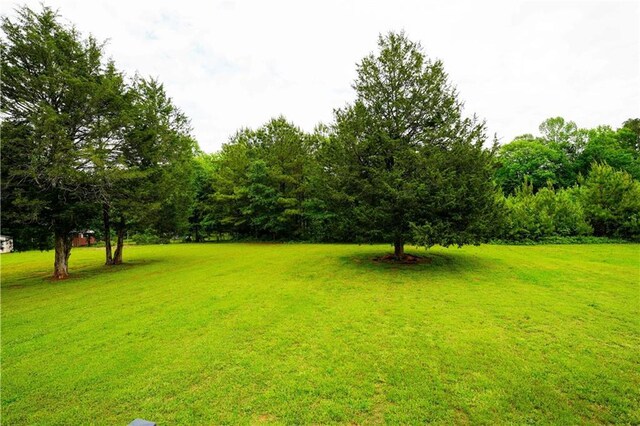 view of grassy yard