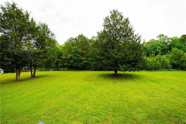 view of grassy yard