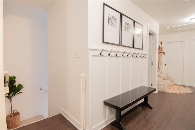 mudroom featuring dark wood-type flooring