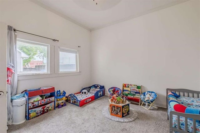 229 Slate St, Rockmart, GA 30153 - rec room featuring carpet floors