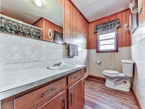6267 Mount Pisgah Rd, Ellijay, GA 30540 - bathroom featuring toilet, vanity, and wood finished floors