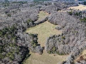 6267 Mount Pisgah Rd, Ellijay, GA 30540 - birds eye view of property with a wooded view