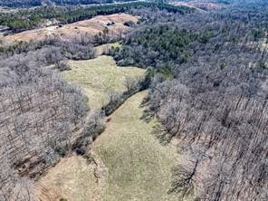 6267 Mount Pisgah Rd, Ellijay, GA 30540 - birds eye view of property