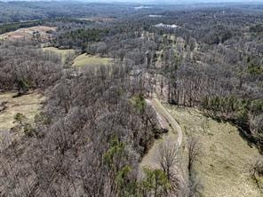 6267 Mount Pisgah Rd, Ellijay, GA 30540 - aerial view with a view of trees