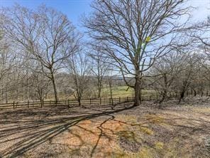 6267 Mount Pisgah Rd, Ellijay, GA 30540 - view of yard featuring fence