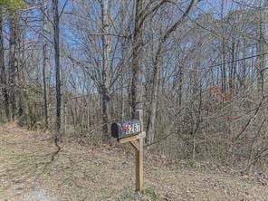 6267 Mount Pisgah Rd, Ellijay, GA 30540 - view of street