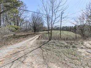 6267 Mount Pisgah Rd, Ellijay, GA 30540 - view of road